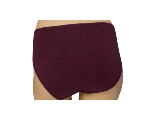 Жіночі Трусики-Максі Beisdanna 6824