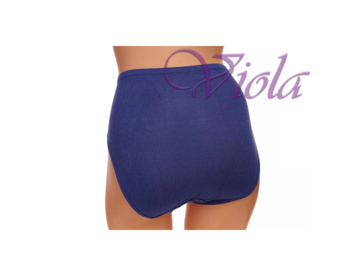 Жіночі Трусики-Максі Beisdanna 9101