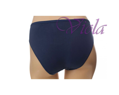 Жіночі Трусики-Сліпи Beisdanna D4611