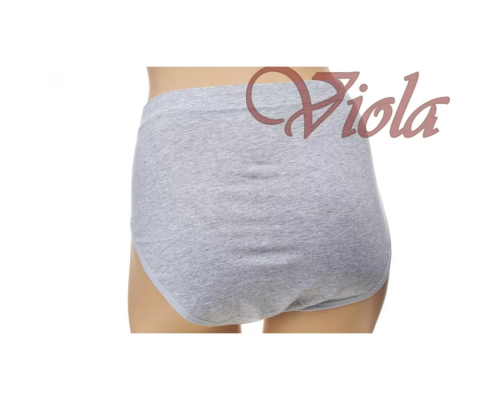 Жіночі Трусики-Максі Beisdanna D3620