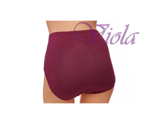 Жіночі Трусики-Максі Beisdanna 9128-1 (Асорті Кольорів)