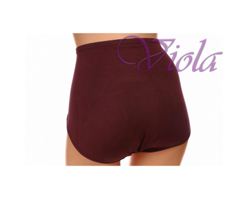 Жіночі Трусики-Максі Beisdanna 2212