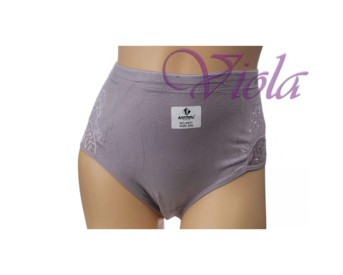Жіночі Трусики-Максі Anttifu 4431