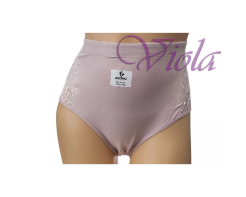 Жіночі Трусики-Максі Anttifu 4431