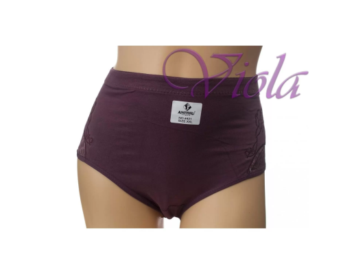 Жіночі Трусики-Максі Anttifu 4431