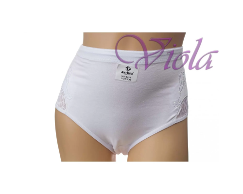 Жіночі Трусики-Максі Anttifu 4431