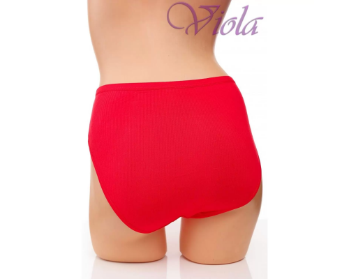 Жіночі Трусики-Максі Anttifu 3038