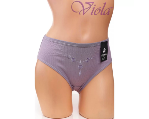 Жіночі Трусики-Максі Anttifu 3038