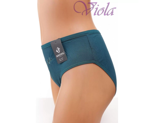 Жіночі Трусики-Максі Anttifu 3038