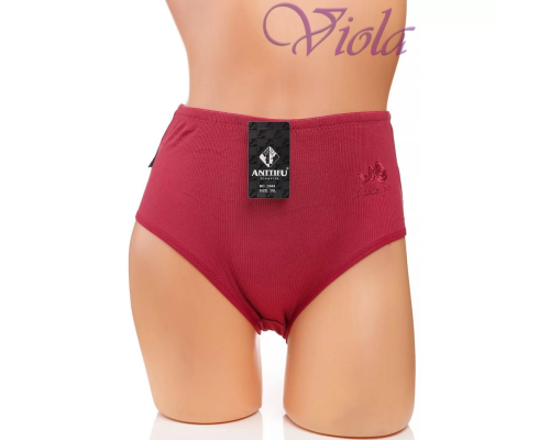Жіночі Трусики-Максі Anttifu 3040
