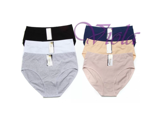 Жіночі Трусики-Максі Beisdanna D6602