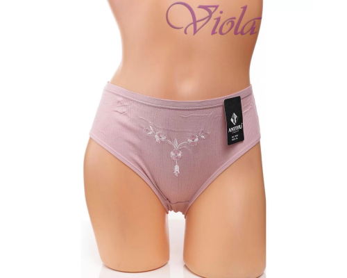 Жіночі Трусики-Максі Anttifu 3038