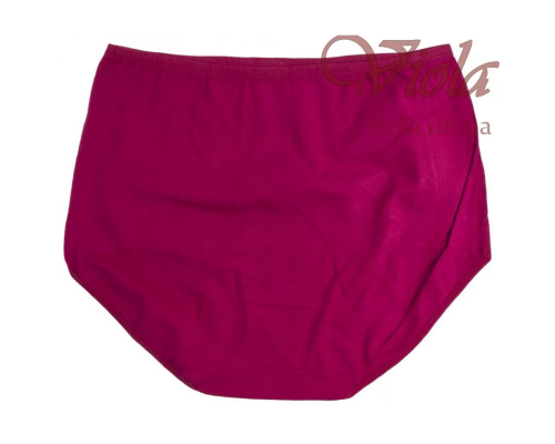 Жіночі Трусики-Максі Beisdanna 6608