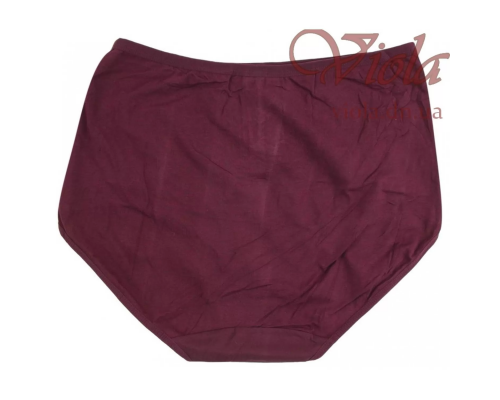 Жіночі Трусики-Максі Beisdanna 6609