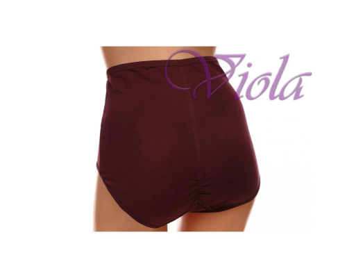 Жіночі Трусики-Максі Beisdanna 3900 (Асорті Кольорів)