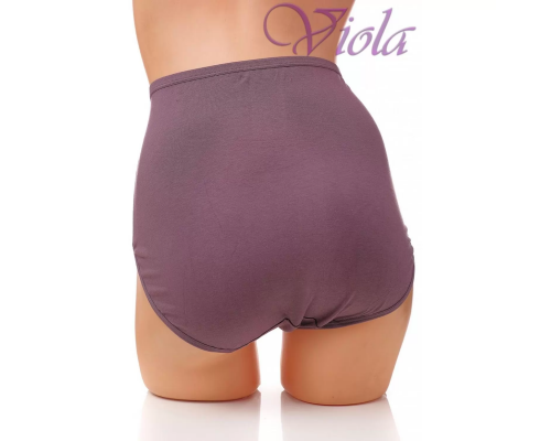 Жіночі Трусики-Максі Beisdanna 3972 (Ассорті Кольорів)