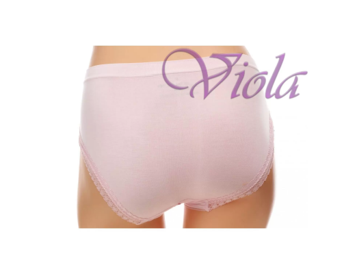 Жіночі Трусики-Максі Beisdanna 8100