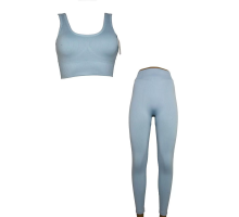 Комплект Спортивний Beisdanna На Тонкому Поролоні Sp169#