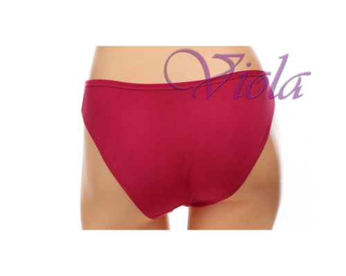 Жіночі Трусики-Сліпи Beisdanna D2616 (Асорті Кольорів)