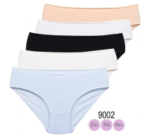 Женские Трусики-Слипы Nicoletta 9002