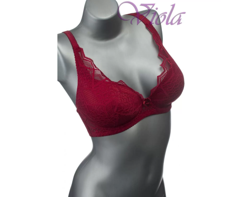 Бюстгальтер Weiyesi На Тонкому Поролоні 2096# D