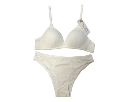 Комплект Beisdanna На Тонкому Поролоні З Трусиками-Сліпами 720#