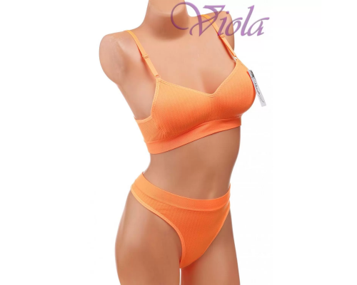 Комплект Beisdanna На Коректорі З Трусиками-Стрингами D815#