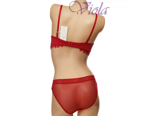 Комплект Weiyesi На Тонкому Поролоні З Трусиками-Сліпами 2079# B