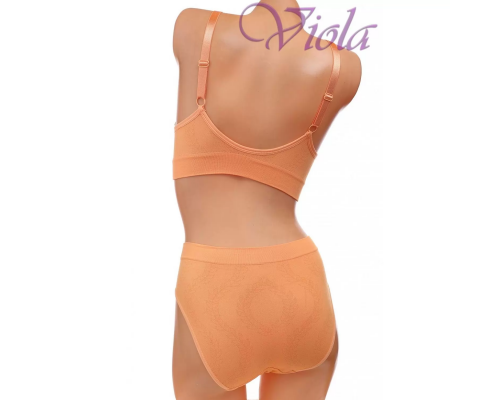 Комплект Beisdanna На Тонкому Поролоні З Трусиками-Сліпами D9212#