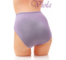 Жіночі Трусики-Максі Beisdanna 3977 (Асорті Кольорів)