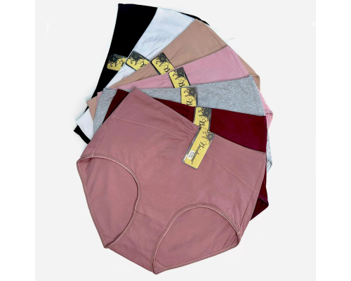 Жіночі Трусики-Максі Beisdanna 9046