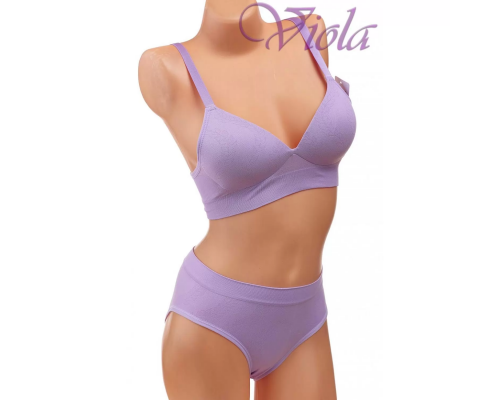 Комплект Beisdanna На Тонкому Поролоні З Трусиками-Сліпами D9212#