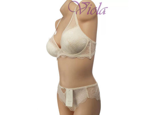 Комплект Weiyesi На Поролоновому Пуш-Ап З Трусиками-Сліпами 8096# С