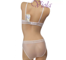 Комплект Weiyesi На Поролоновому Пуш-Ап З Трусиками-Сліпами A8090# C