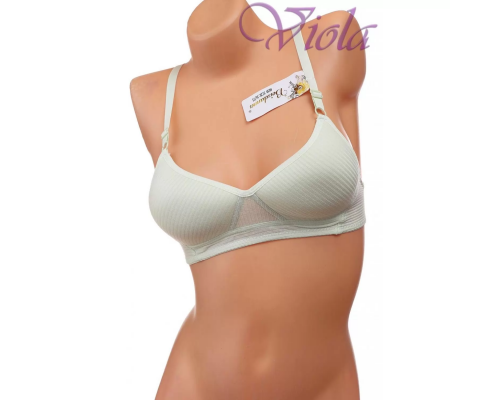 Бюстгальтер-Бралетт Beisdanna На Тонкому Поролоні 663#