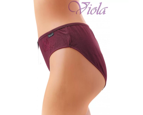 Женские Трусики-Слипы Beisdanna 9102