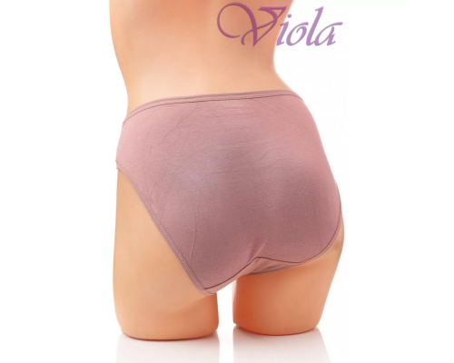 Жіночі Трусики-Сліпи Beisdanna 8323 (Асортимент Кольорів)