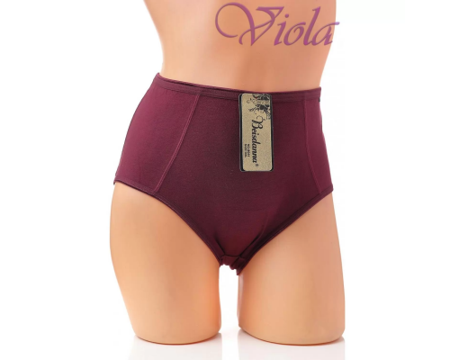 Женские Трусики-Макси Beisdanna 9044