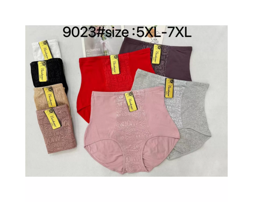 Жіночі Трусики-Максі Beisdanna 9023