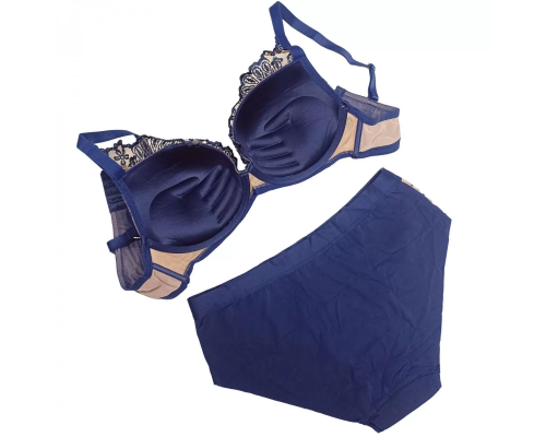 Комплект Weiyesi На Ручному Поролоновому Пуш-Ап З Трусиками-Сліпами 2386# D