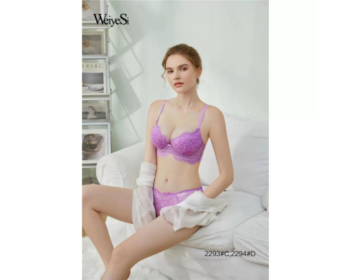 Бюстгальтер Weiyesi На Тонкому Поролоні 2294# D