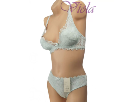 Жіночі Сліпи Weiyesi 2065 #